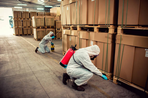 Best Ant Control Services  in Urbandale, IA