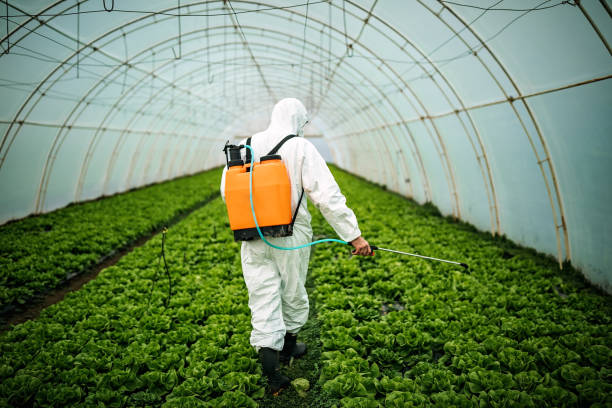 Best Pest Control Near Me  in Urbandale, IA