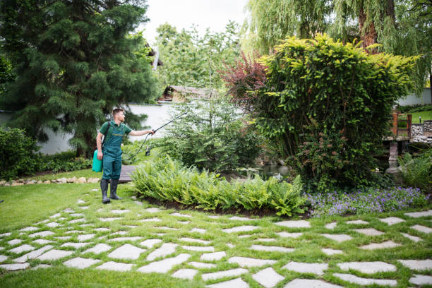 Best Mosquito Control Services  in Urbandale, IA