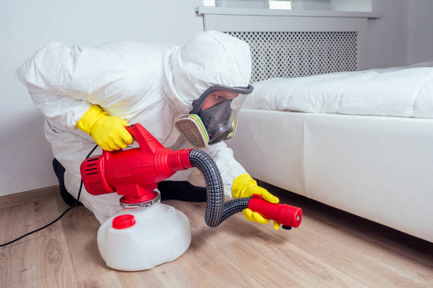 Pest Prevention Services in Urbandale, IA