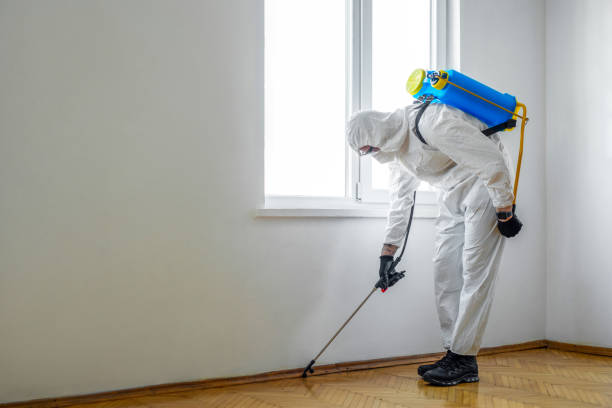 Best Affordable Pest Control Services  in Urbandale, IA