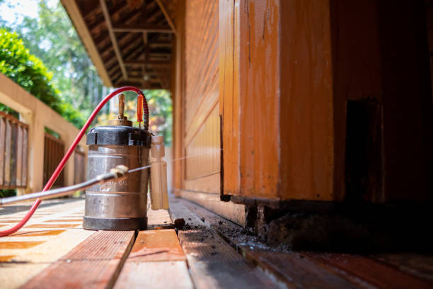 Best Pest Control for Homes  in Urbandale, IA