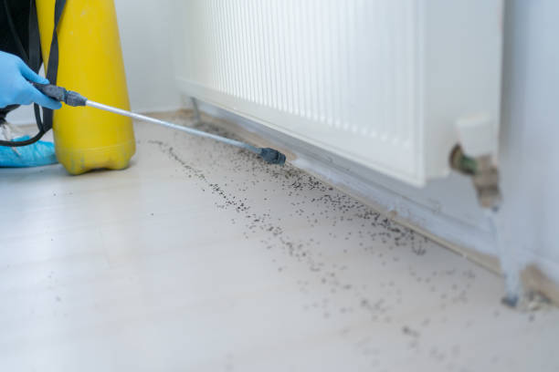Trusted Urbandale, IA Pest Control Experts