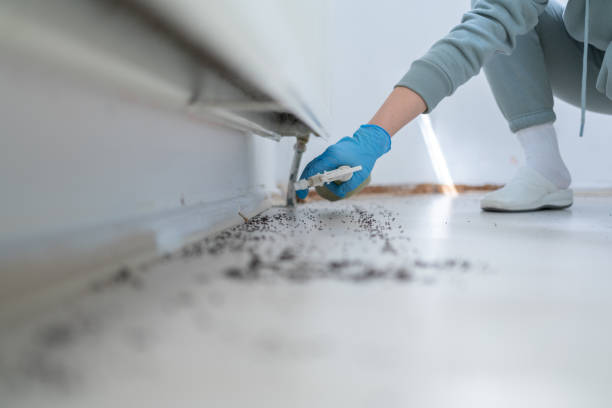 Best Wildlife Control Services  in Urbandale, IA